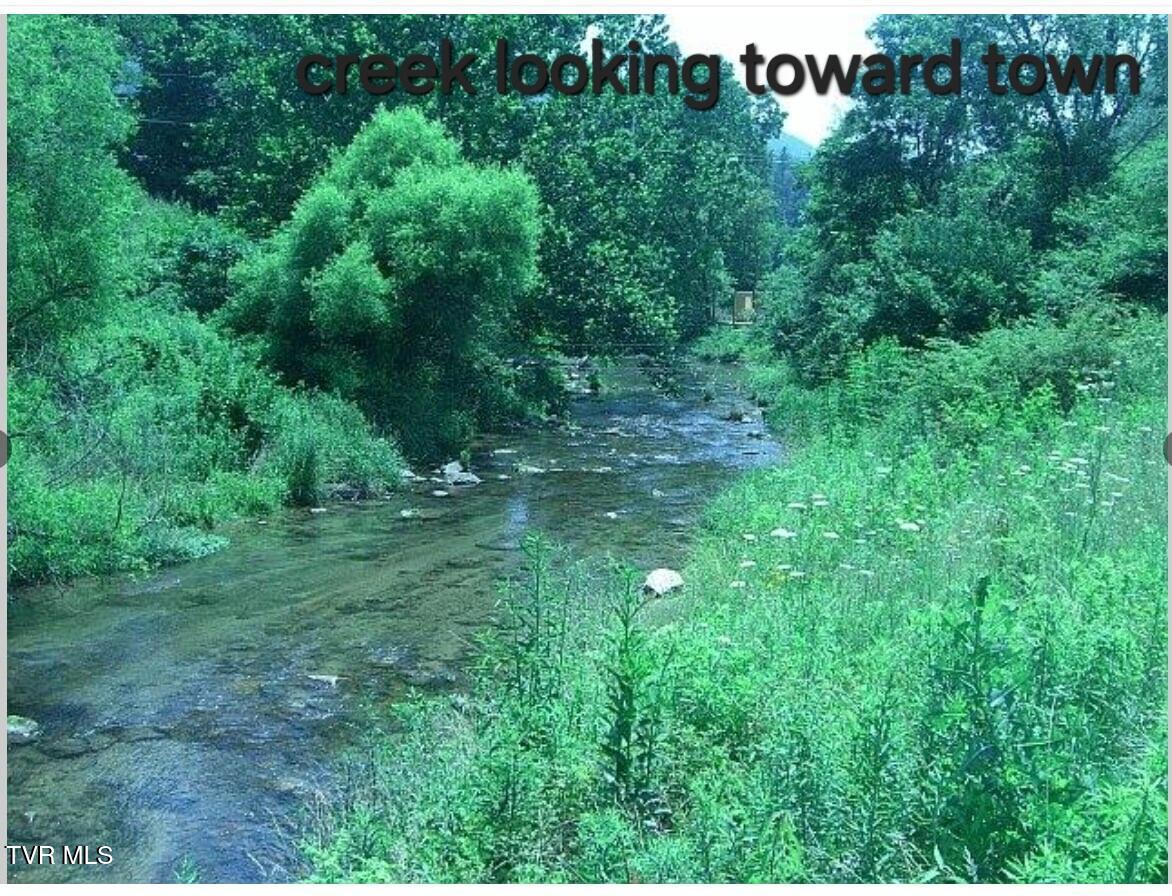 0 West W Highway Butler, TN 37640 - Photo 10 of 11 hotkiss creek looking toward town