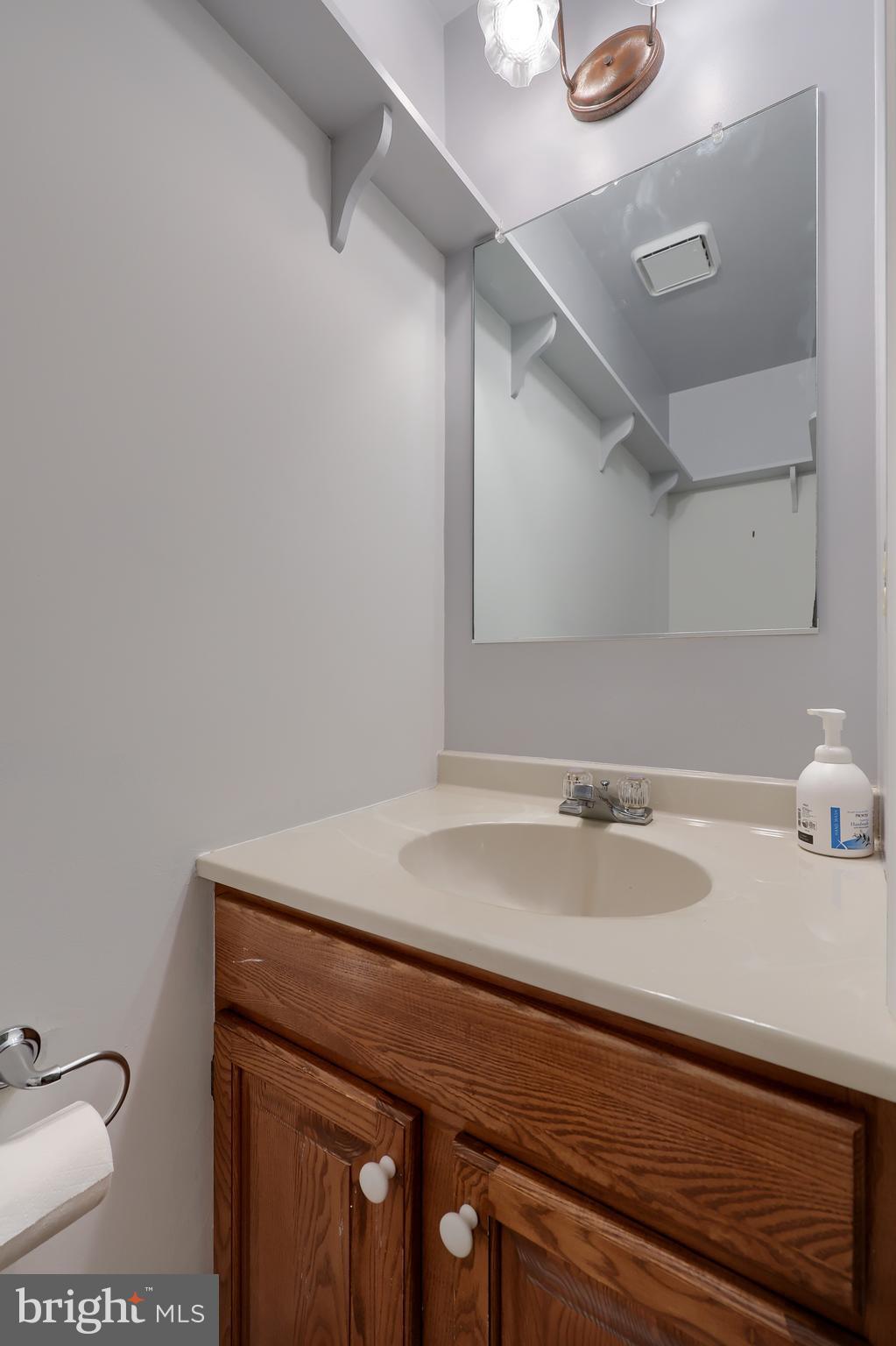 746 West 6th Street Lititz, PA 17543 - Photo 20 of 43 a bathroom with a sink and a vanity