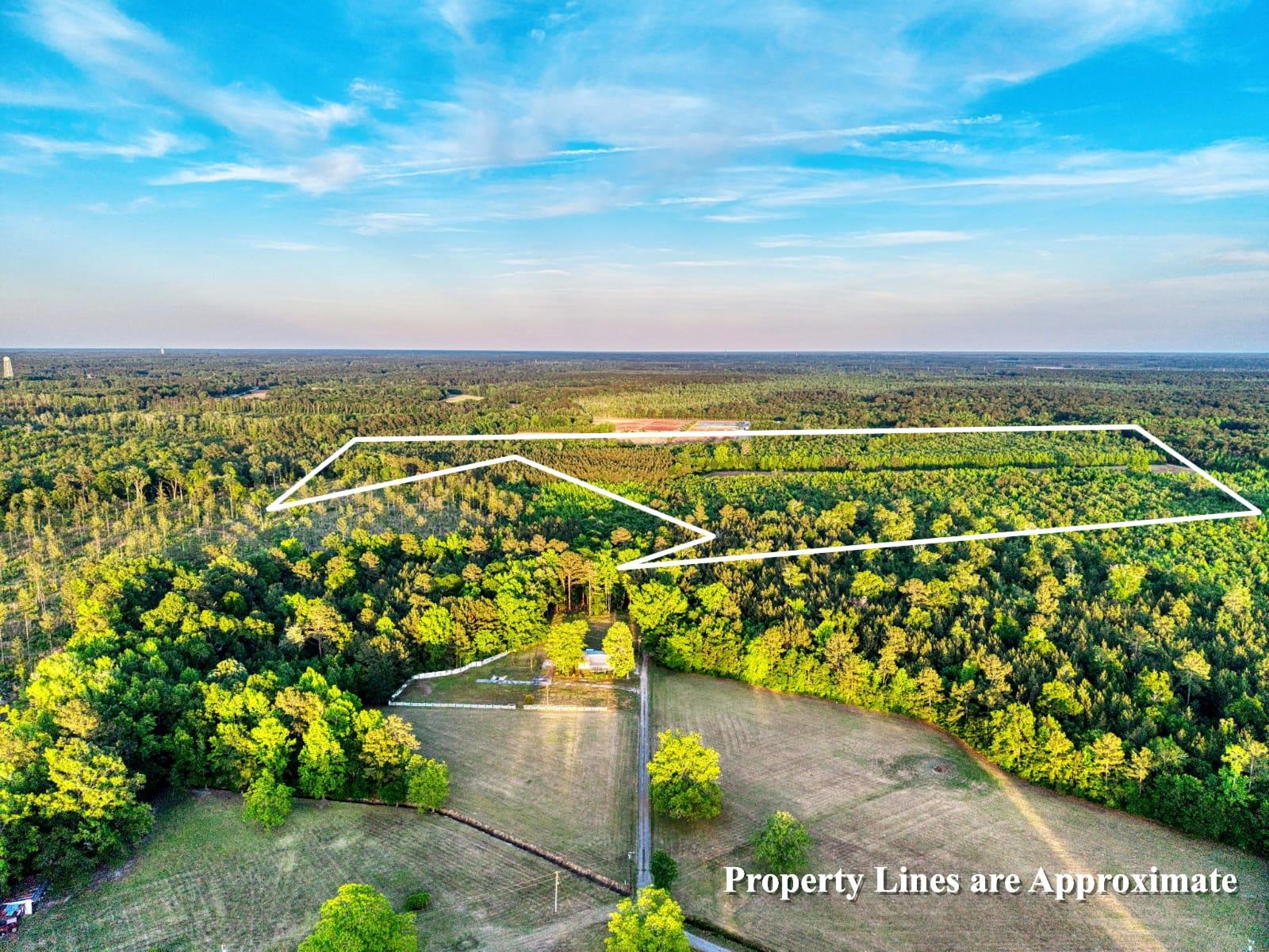 Tbd Tbd Carroll Road Greeleyville, SC 29056 - Photo 3 of 5