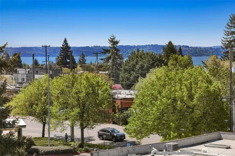 a view of a city that has tall trees