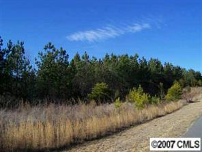 148 Riverwalk Road Stony Point, NC 28678 - Photo 2 of 7 Gallery Image 2
