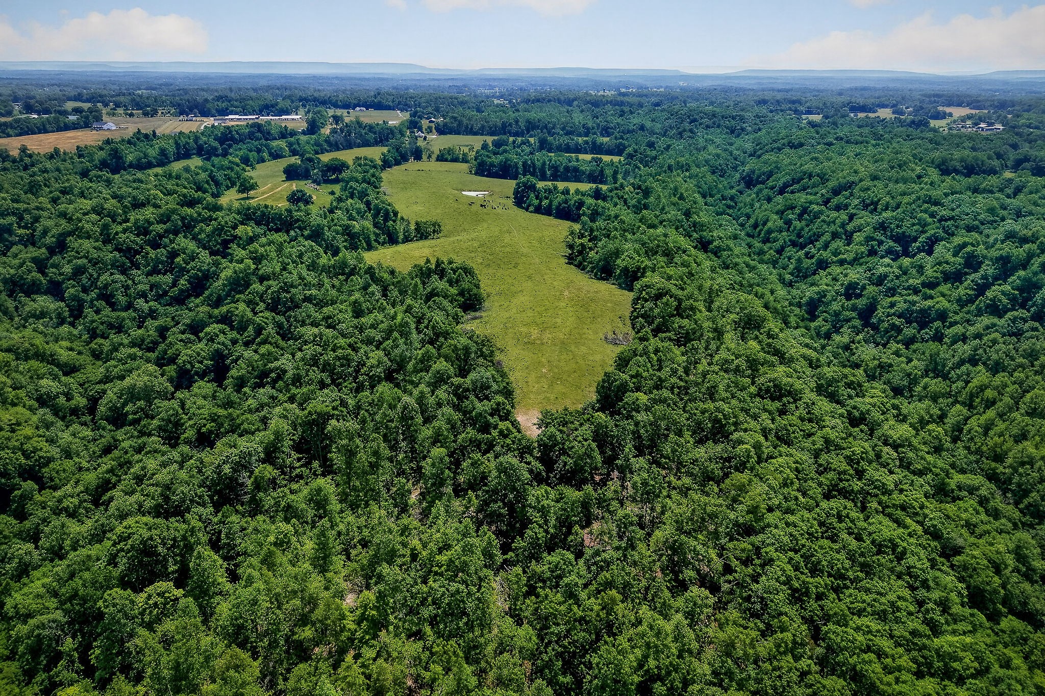 8495 Baxter Road Baxter, TN 38544 - Photo 17 of 62