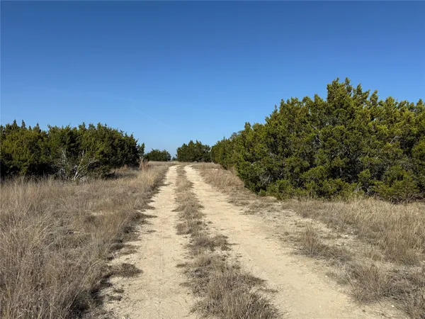 a view of a dry yard with trees in the background
