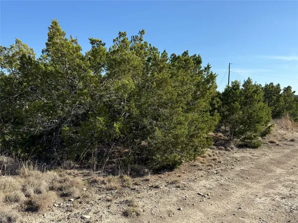 a view of a yard covered with snow in outdoor space