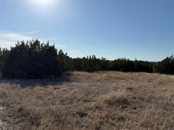 a view of a field with trees in the background