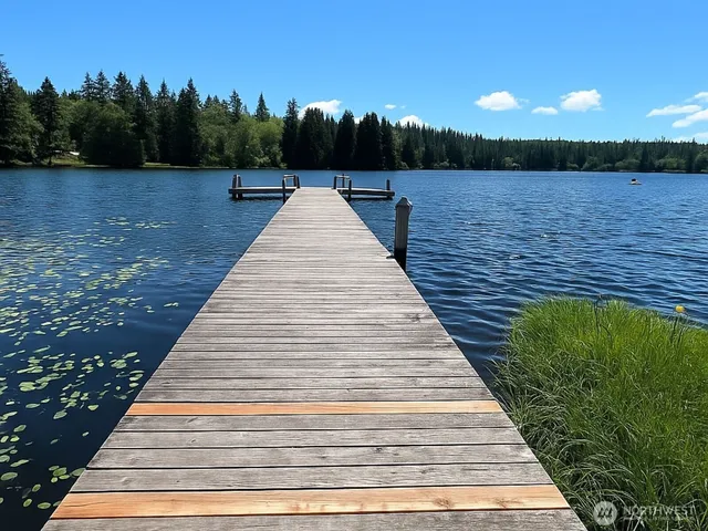 a view of swimming pool with lake and trees in the background