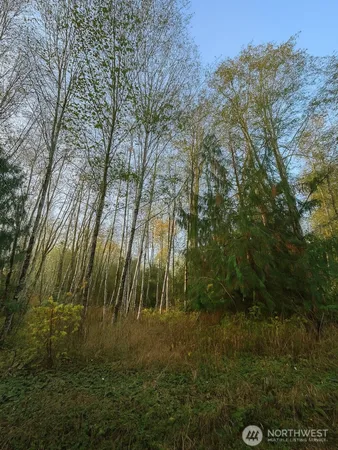 a view of outdoor space and trees