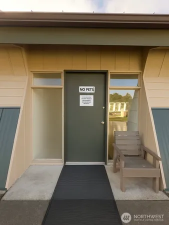 a view of a yard with plants and large trees