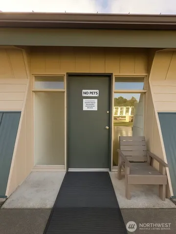 a view of a yard with plants and large trees