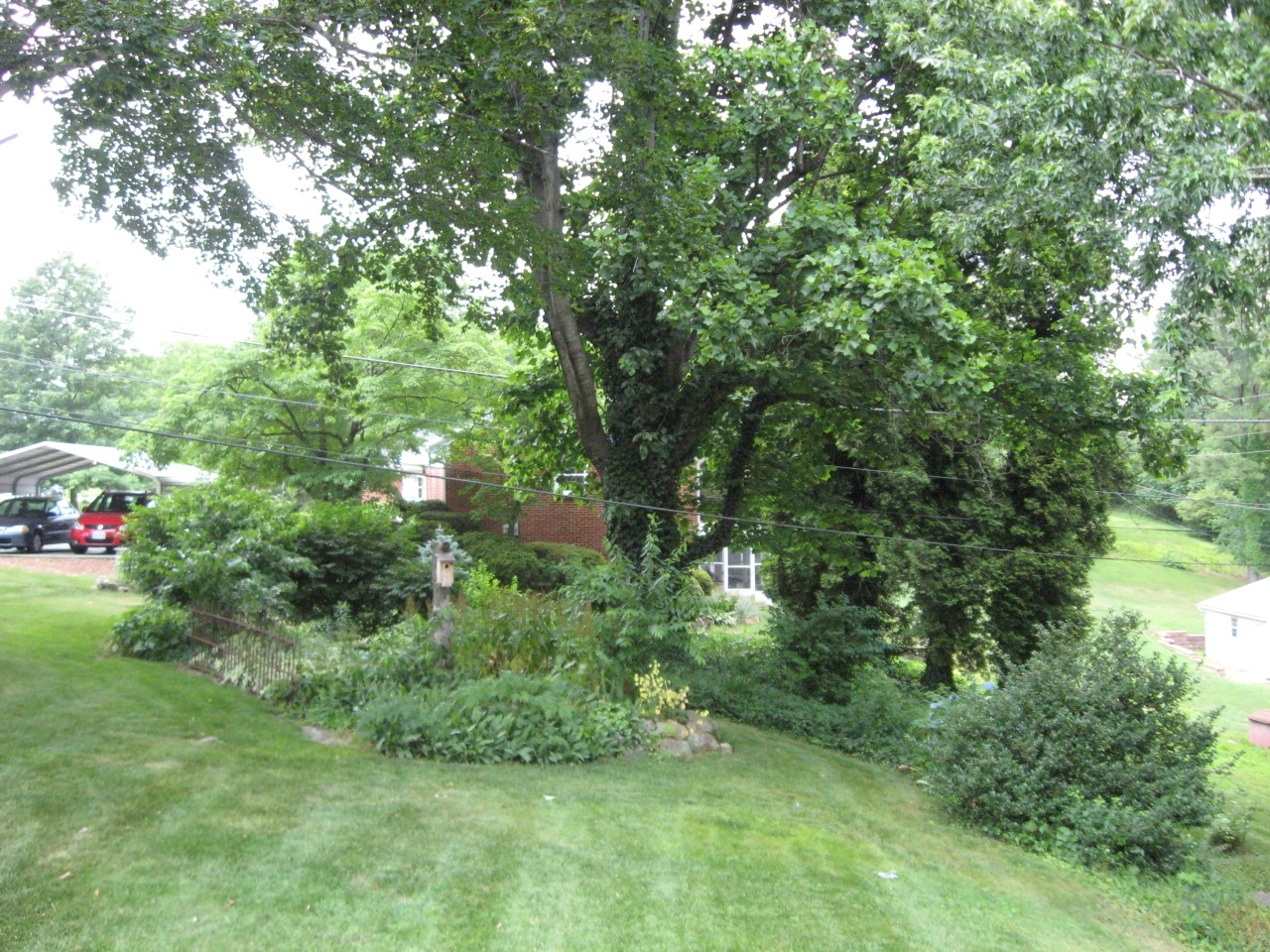 3859 Mud Lick Road Southwest Roanoke, VA 24018 - Photo 8 of 15 YARD VIEW