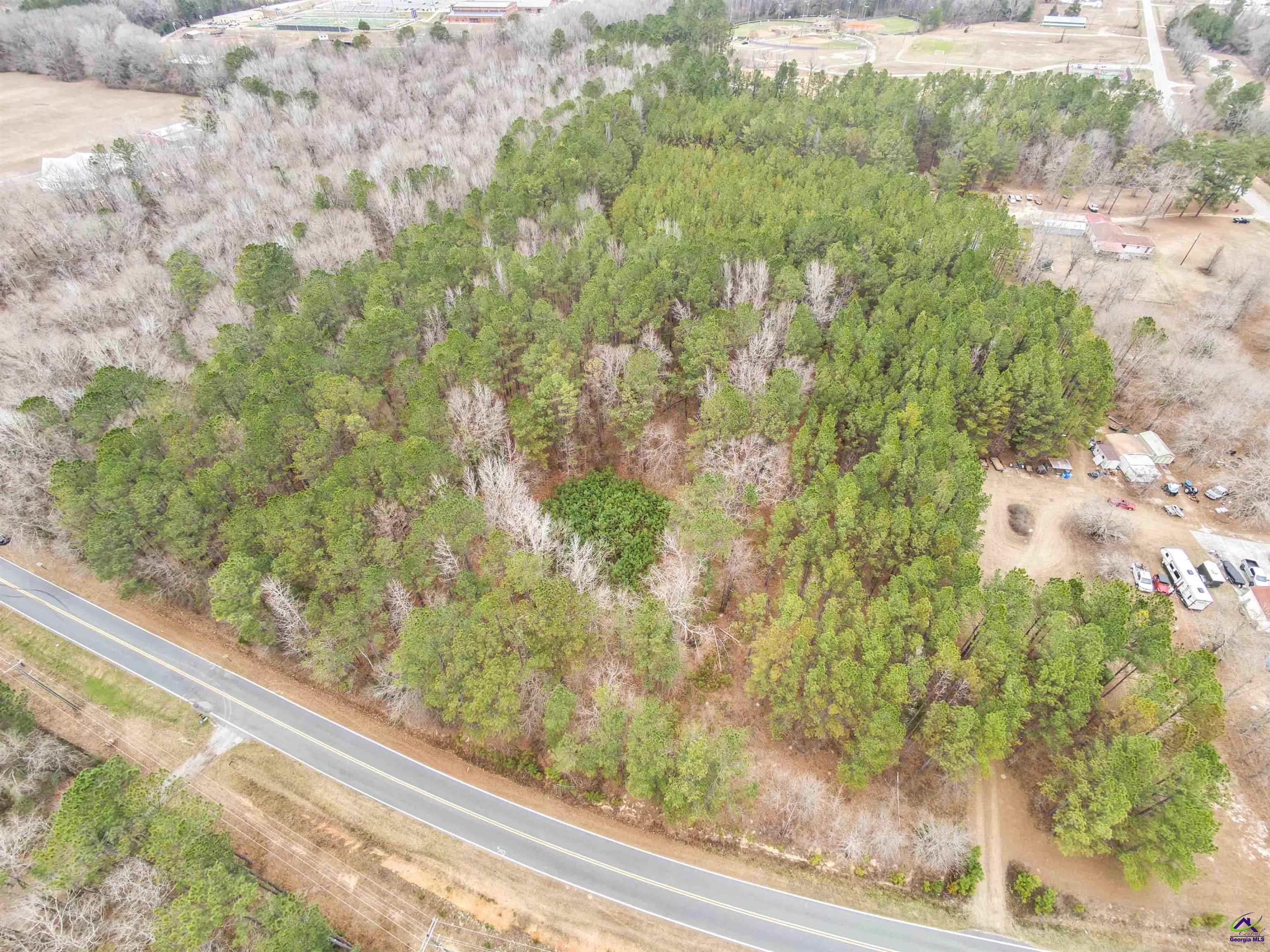 12.6-acres Hicks Road Roberta, GA 31078 - Photo 7 of 17