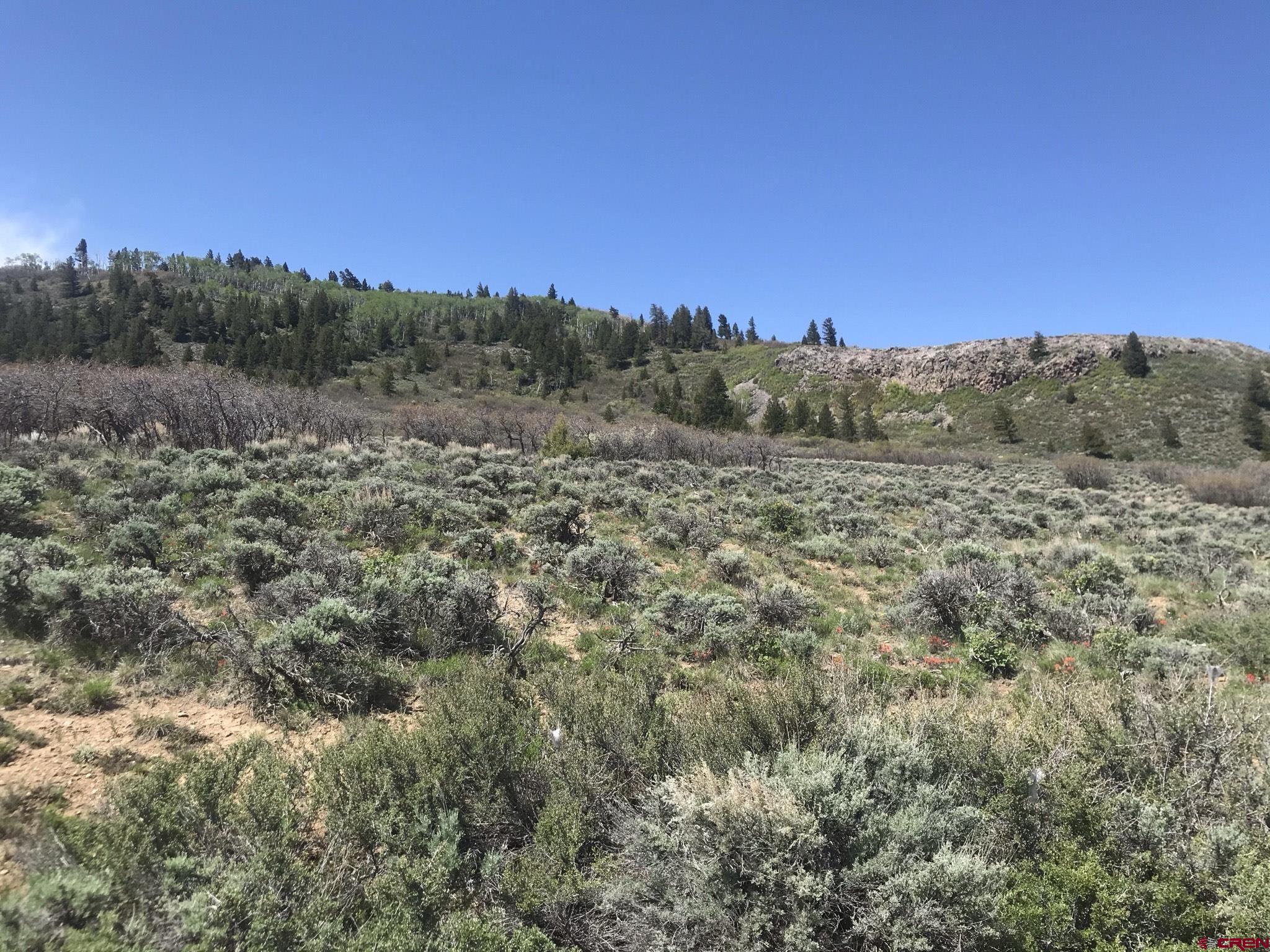 26 - Lake Gunnison, CO 81230 - Photo 9 of 17 a view of a dry yard with mountains in the background