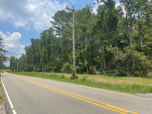 7 Tanner Williams Road Lucedale, MS 39452 - Photo 2 of 5 IMG_4470