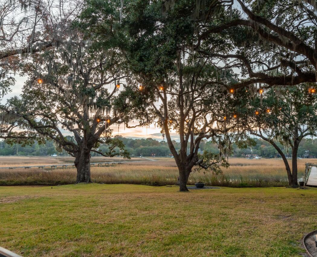 1199 Long Point Road Mount Pleasant, SC 29464 - Photo 23 of 64 photo_073