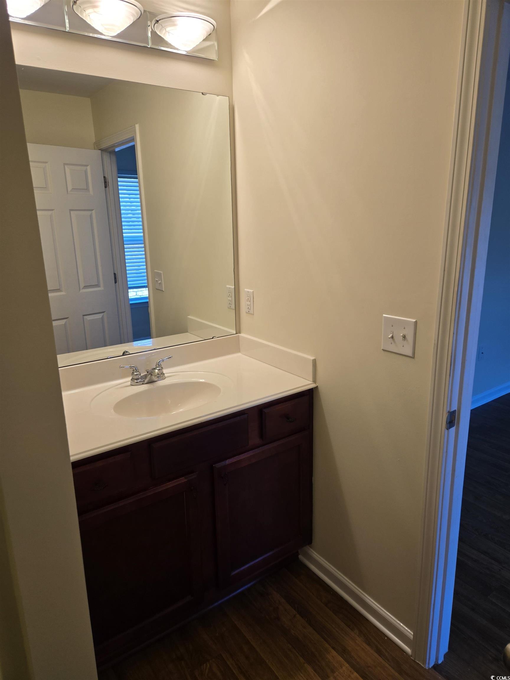 1245 Pine Ridge Street Conway, SC 29527 - Photo 12 of 28 Bathroom featuring vanity and dark wood-type flooring