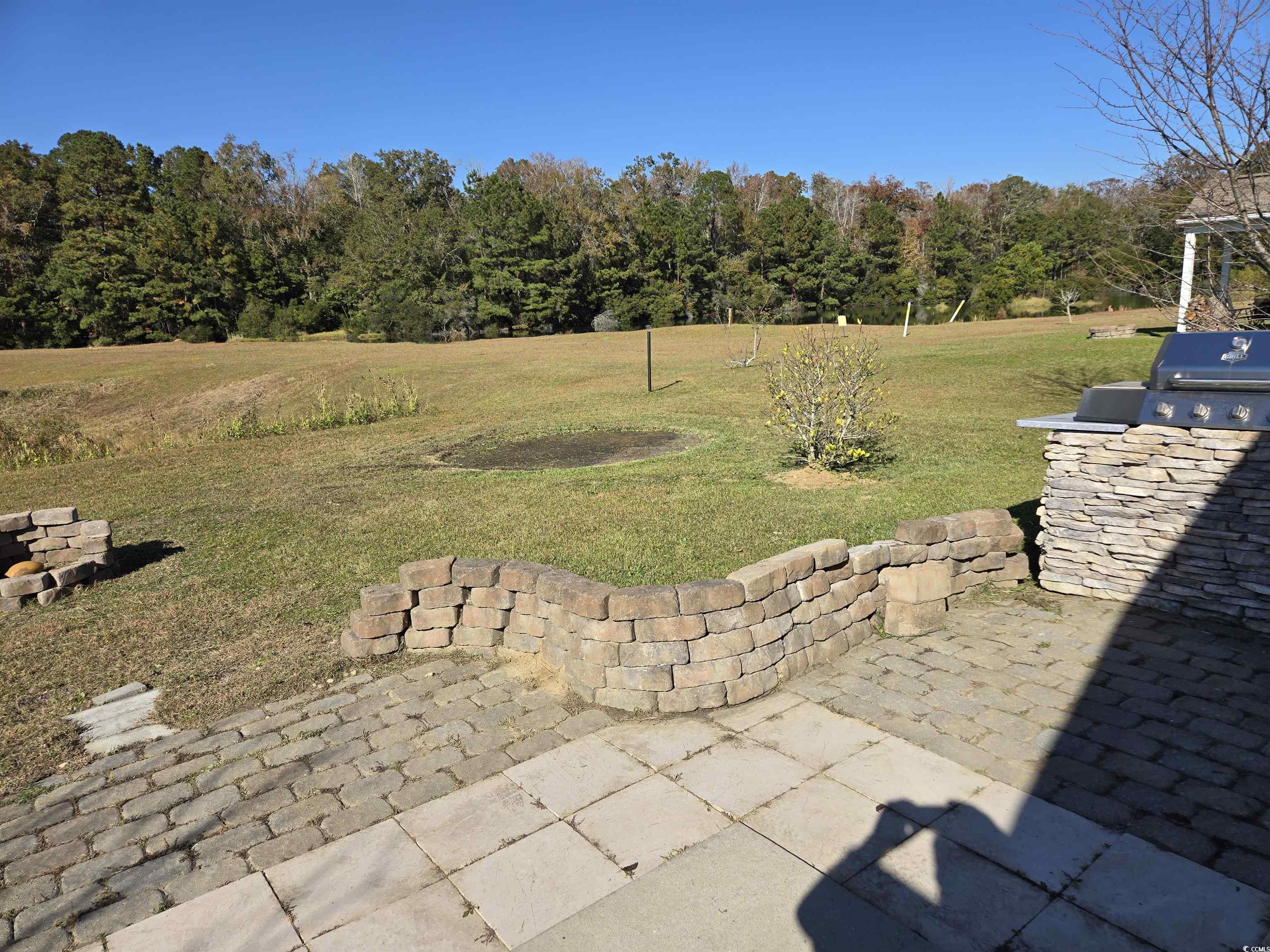 1245 Pine Ridge Street Conway, SC 29527 - Photo 17 of 28 View of grassy yard featuring an outdoor kitchen and a patio area
