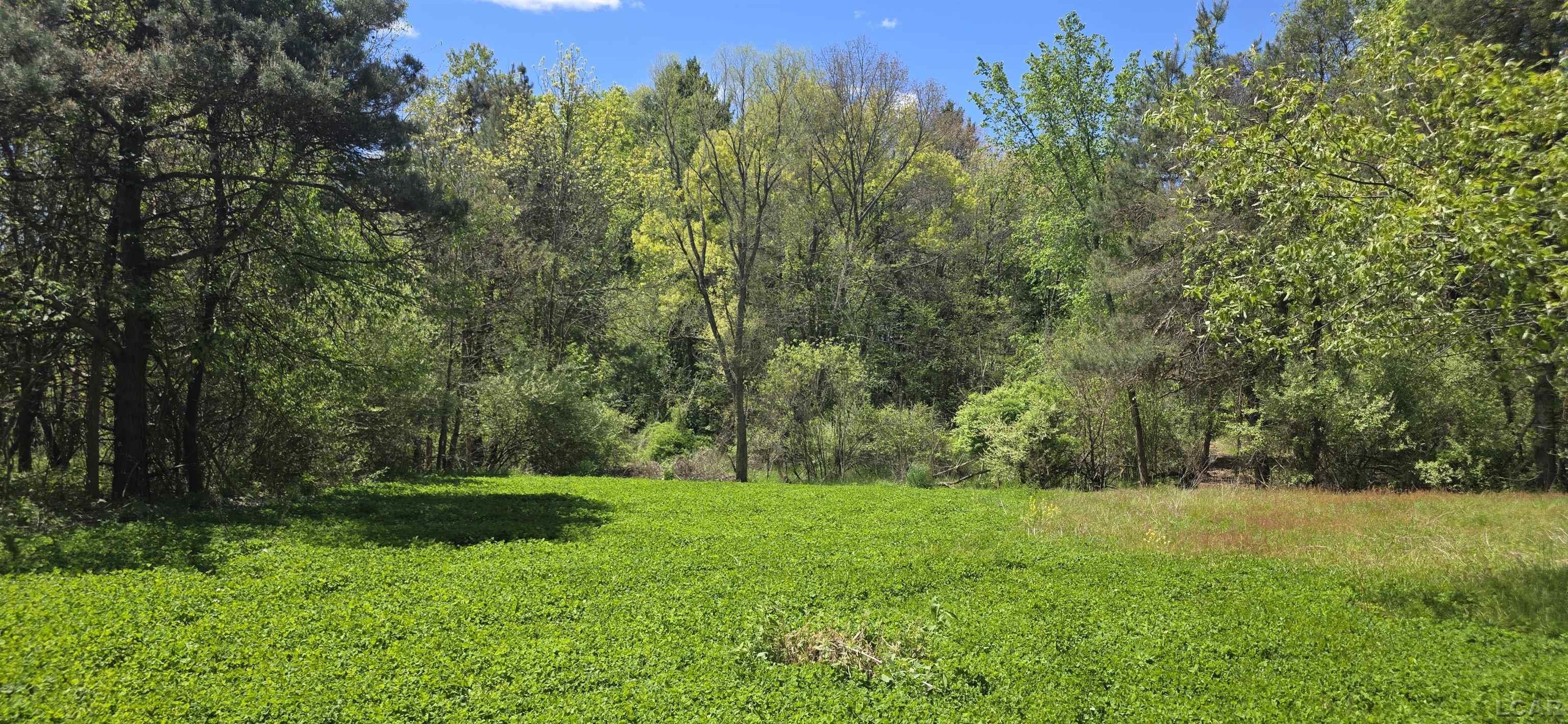 15252 27 Mile Road Albion, MI 49224 - Photo 34 of 57