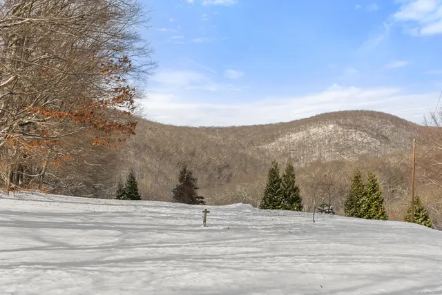 a view of a dry yard with mountain