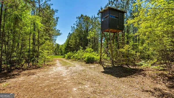 $875,000 | 0 Wainwright Road, Butler, GA 31006