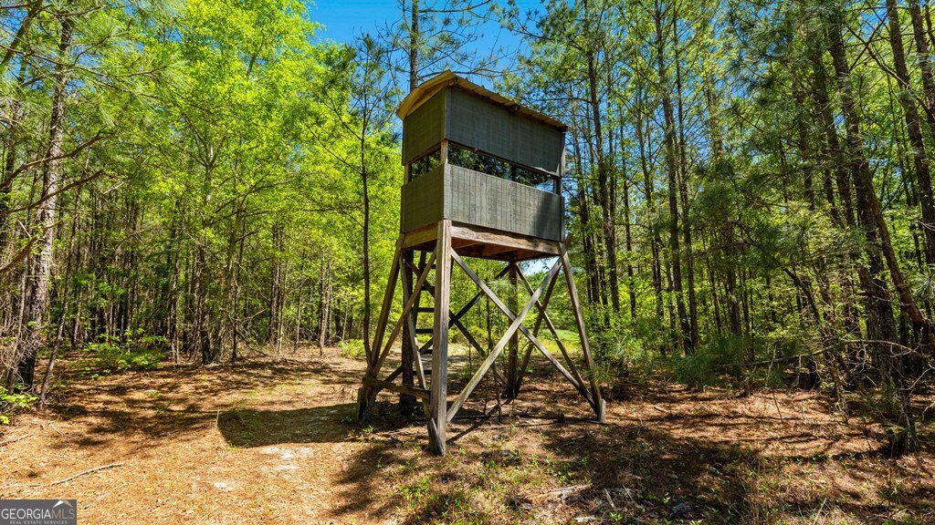 0 Wainwright Road Butler, GA 31006 - Photo 11 of 57