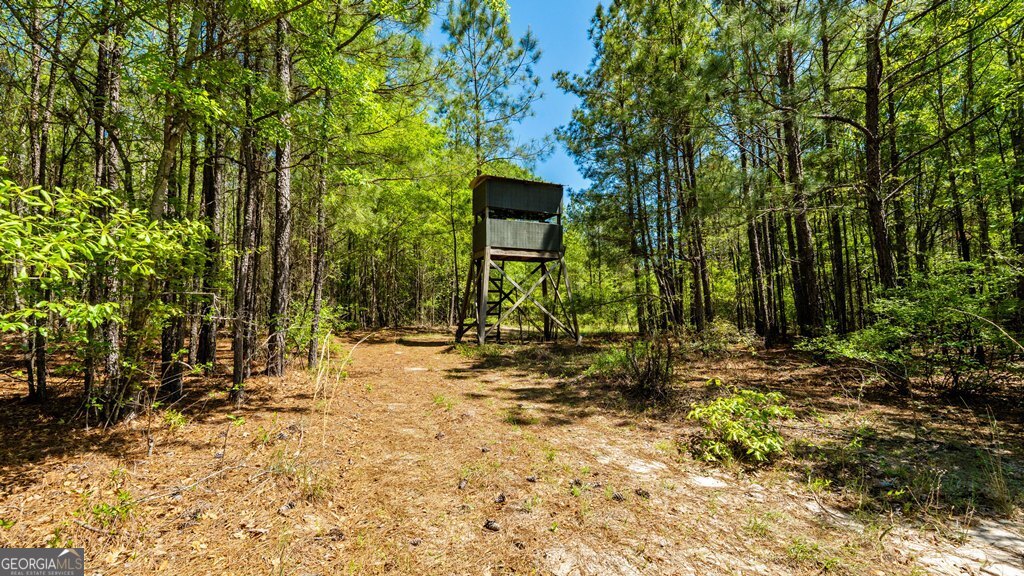 0 Wainwright Road Butler, GA 31006 - Photo 13 of 57