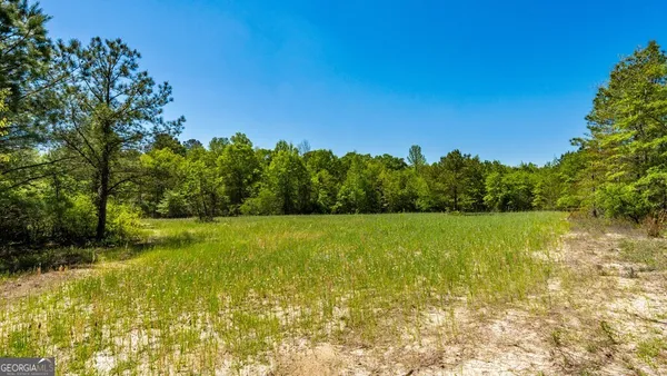 $875,000 | 0 Wainwright Road, Butler, GA 31006