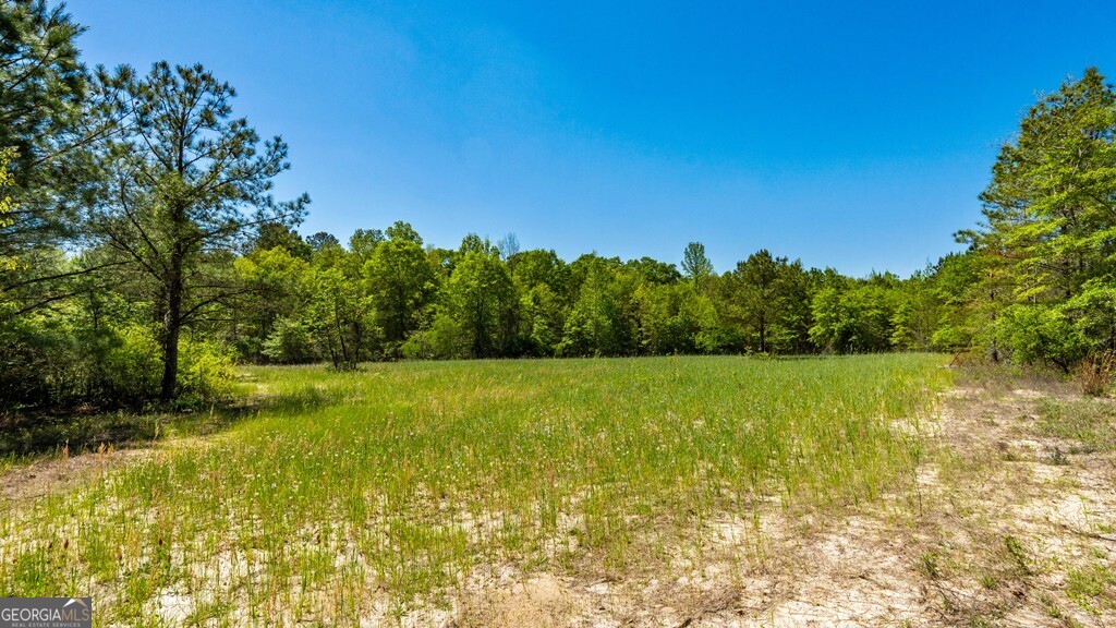 0 Wainwright Road Butler, GA 31006 - Photo 14 of 57