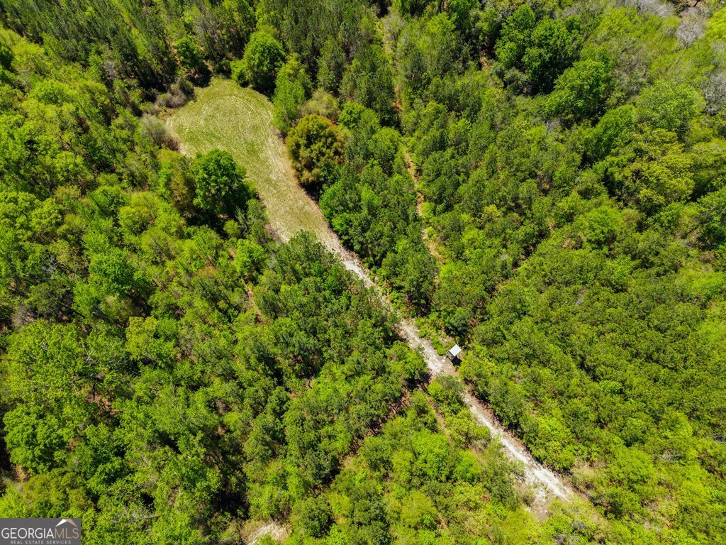 0 Wainwright Road Butler, GA 31006 - Photo 15 of 57
