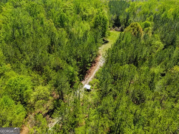 $875,000 | 0 Wainwright Road, Butler, GA 31006