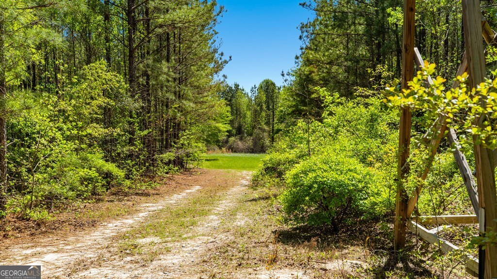 0 Wainwright Road Butler, GA 31006 - Photo 17 of 57