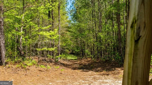 $875,000 | 0 Wainwright Road, Butler, GA 31006