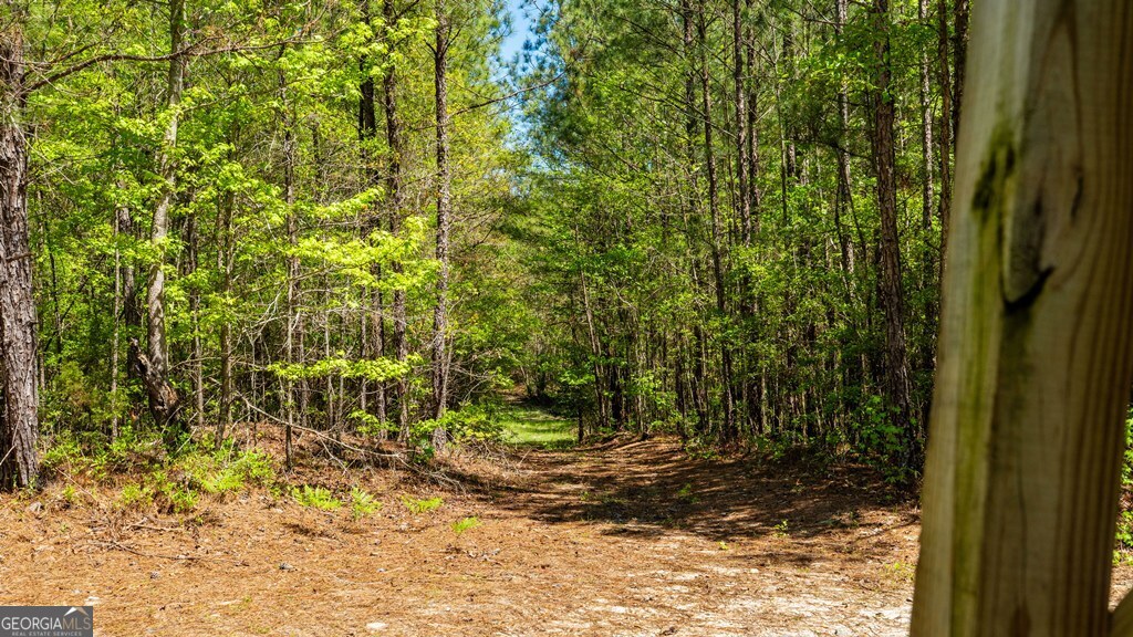 0 Wainwright Road Butler, GA 31006 - Photo 18 of 57