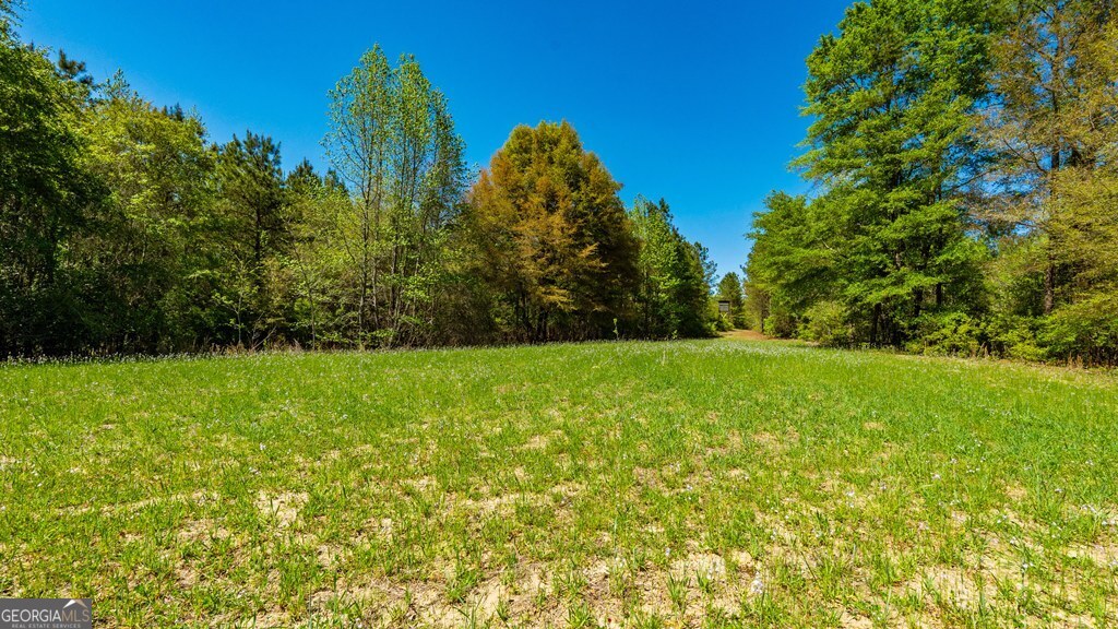 0 Wainwright Road Butler, GA 31006 - Photo 19 of 57