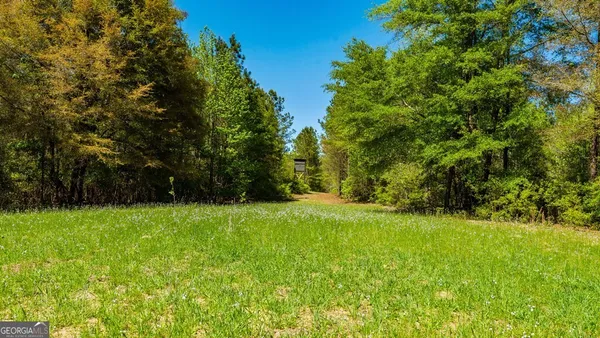$875,000 | 0 Wainwright Road, Butler, GA 31006