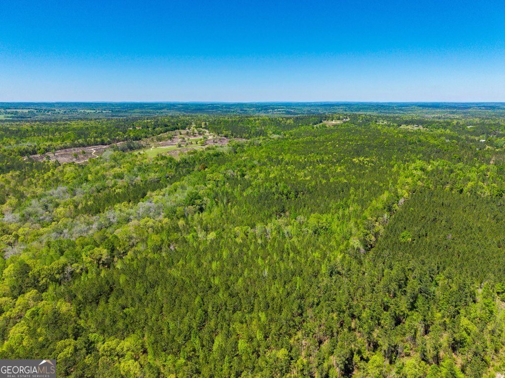 0 Wainwright Road Butler, GA 31006 - Photo 2 of 57