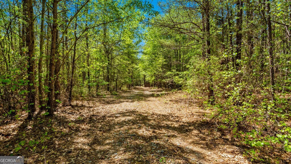 0 Wainwright Road Butler, GA 31006 - Photo 24 of 57