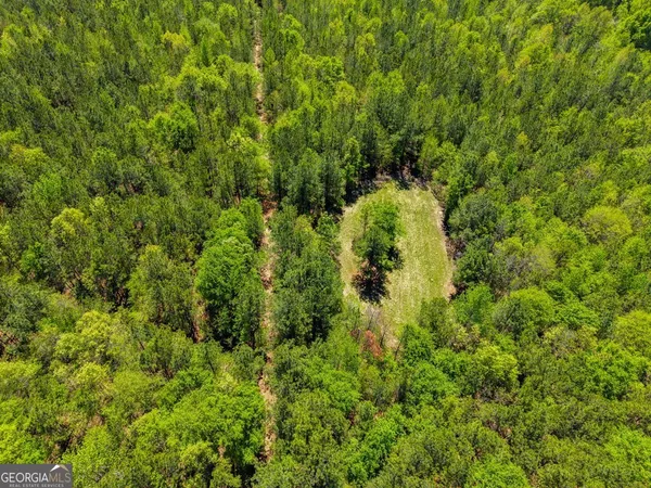 $875,000 | 0 Wainwright Road, Butler, GA 31006