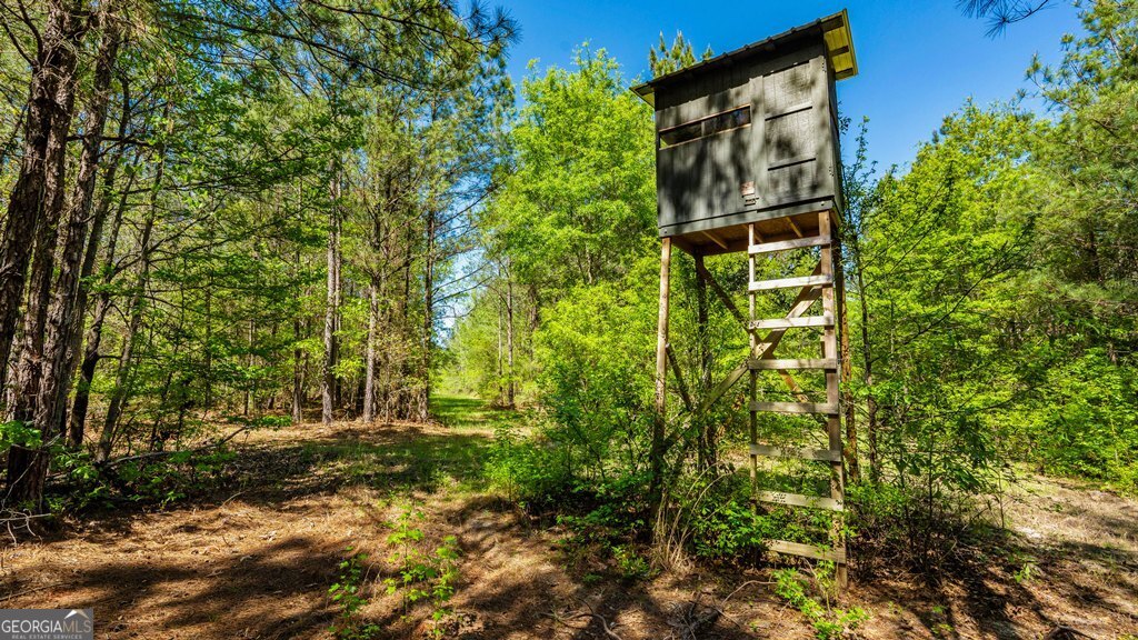 0 Wainwright Road Butler, GA 31006 - Photo 28 of 57