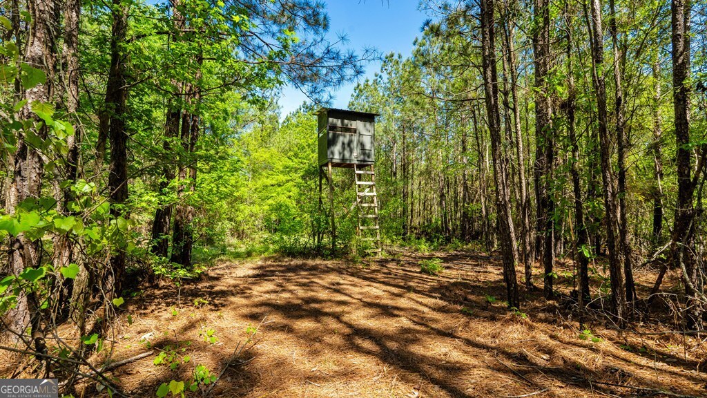 0 Wainwright Road Butler, GA 31006 - Photo 29 of 57