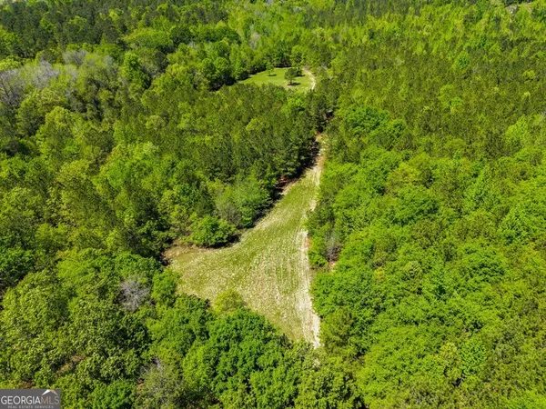 $875,000 | 0 Wainwright Road, Butler, GA 31006
