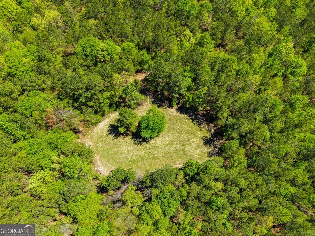 0 Wainwright Road Butler, GA 31006 - Photo 35 of 57