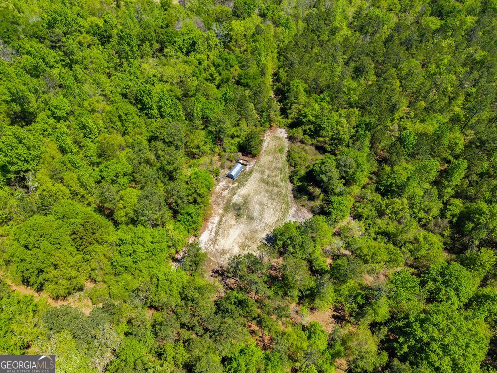 0 Wainwright Road Butler, GA 31006 - Photo 43 of 57