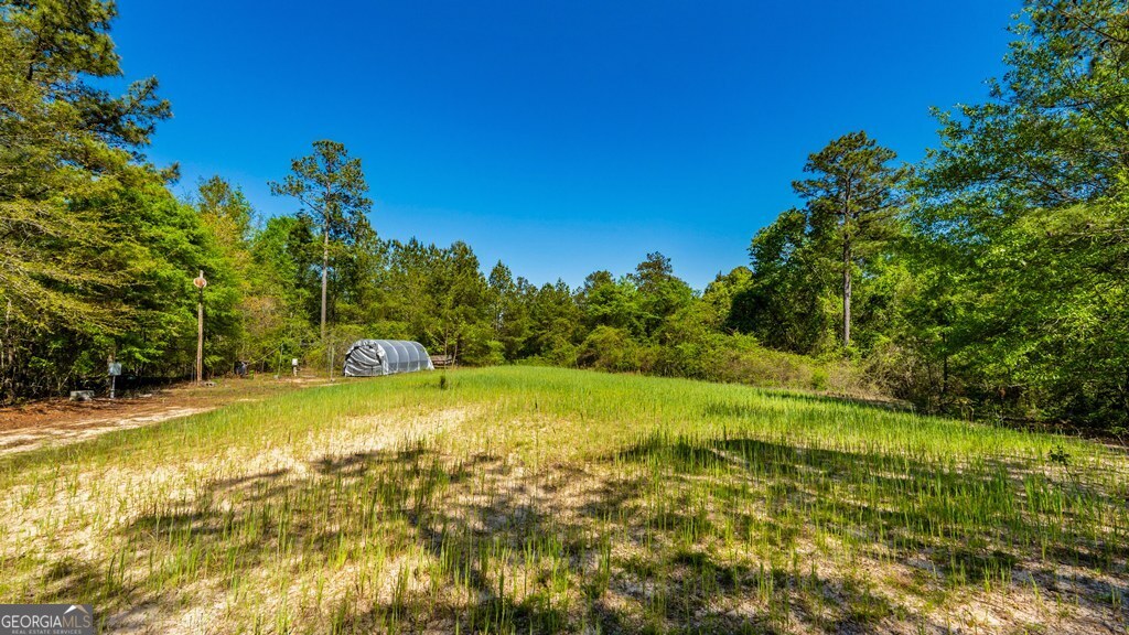 0 Wainwright Road Butler, GA 31006 - Photo 44 of 57