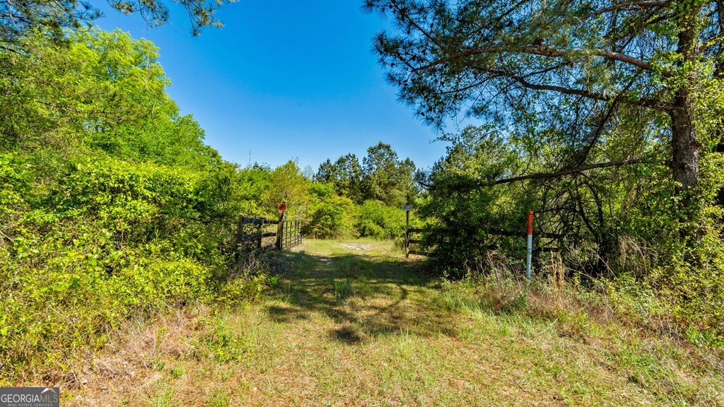 0 Wainwright Road Butler, GA 31006 - Photo 45 of 57