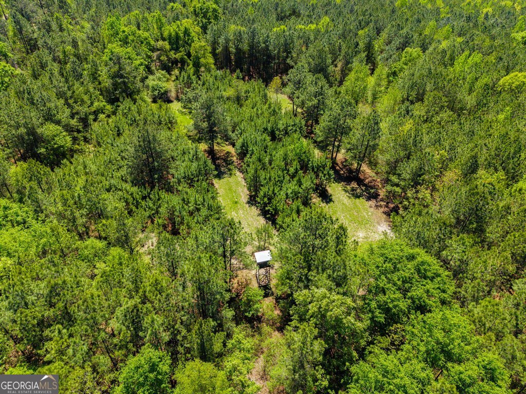 0 Wainwright Road Butler, GA 31006 - Photo 5 of 57