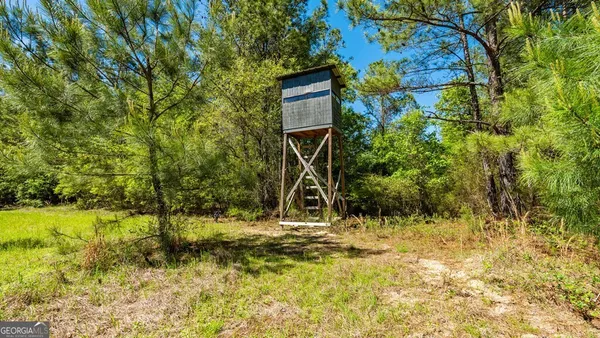 $875,000 | 0 Wainwright Road, Butler, GA 31006