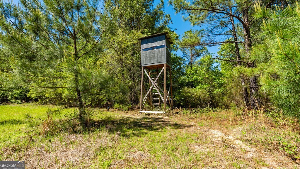 0 Wainwright Road Butler, GA 31006 - Photo 6 of 57