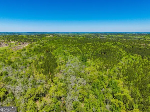 $875,000 | 0 Wainwright Road, Butler, GA 31006