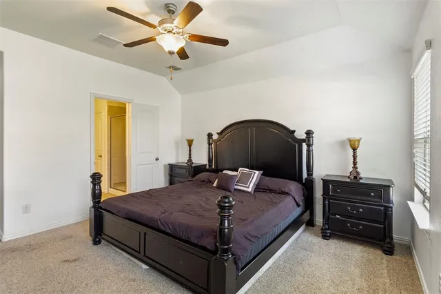 a bathroom with a sink a shower and a mirror