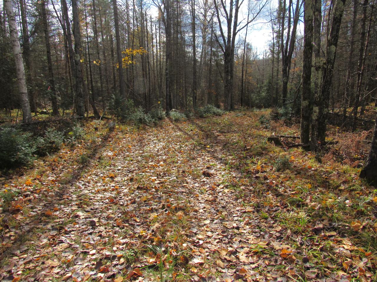 On Sheltrow Road, Unit LOT 4 Crystal Falls, MI 49920 - Photo 12 of 16 Gallery Image 12